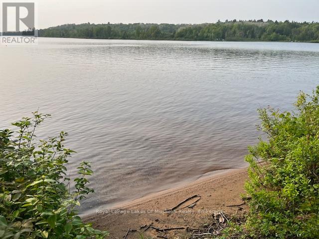 801 Sand Hill Road, South River, Ontario  P0A 1Z0 - Photo 3 - X12860326