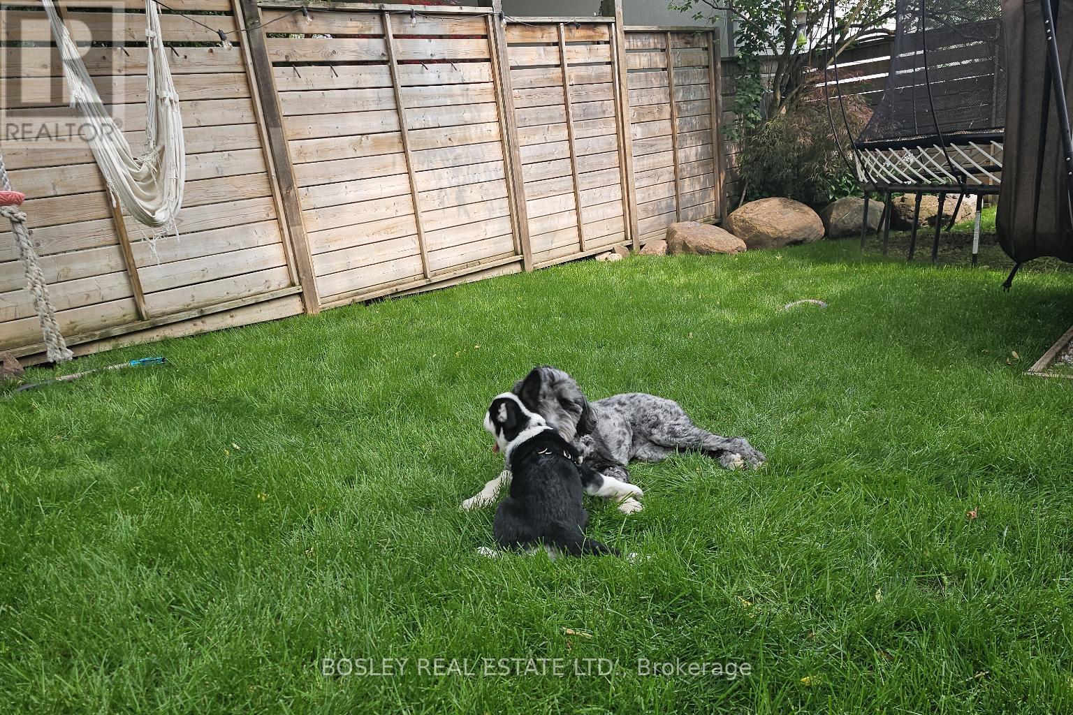 553 Davisville Avenue, Toronto, Ontario  M4S 1J2 - Photo 50 - C12815844