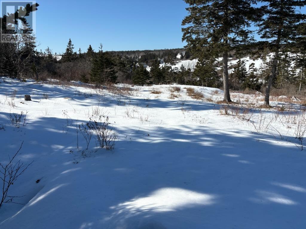 Hirtles Beach Road, Kingsburg, Nova Scotia  B0J 2X0 - Photo 2 - 202604050