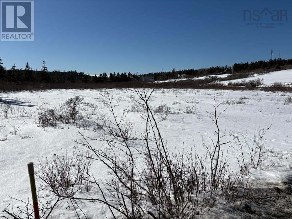 Hirtles Beach Road, Kingsburg, Nova Scotia  B0J 2X0 - Photo 3 - 202604050