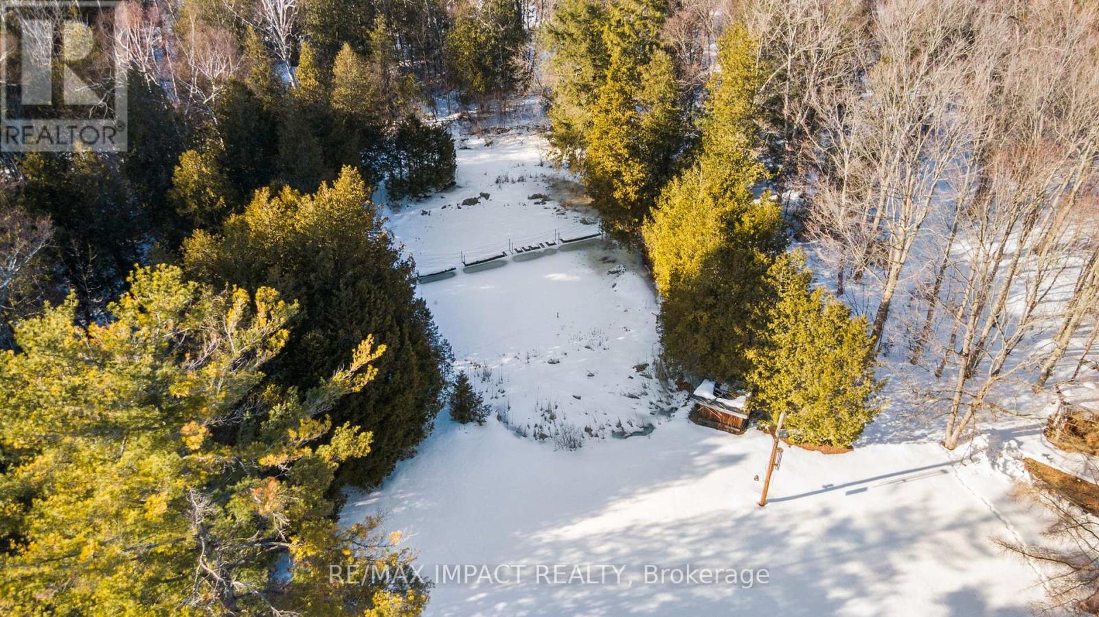 189 Brimley Road S, Alnwick/haldimand, Ontario  K0K 2G0 - Photo 11 - X12860752