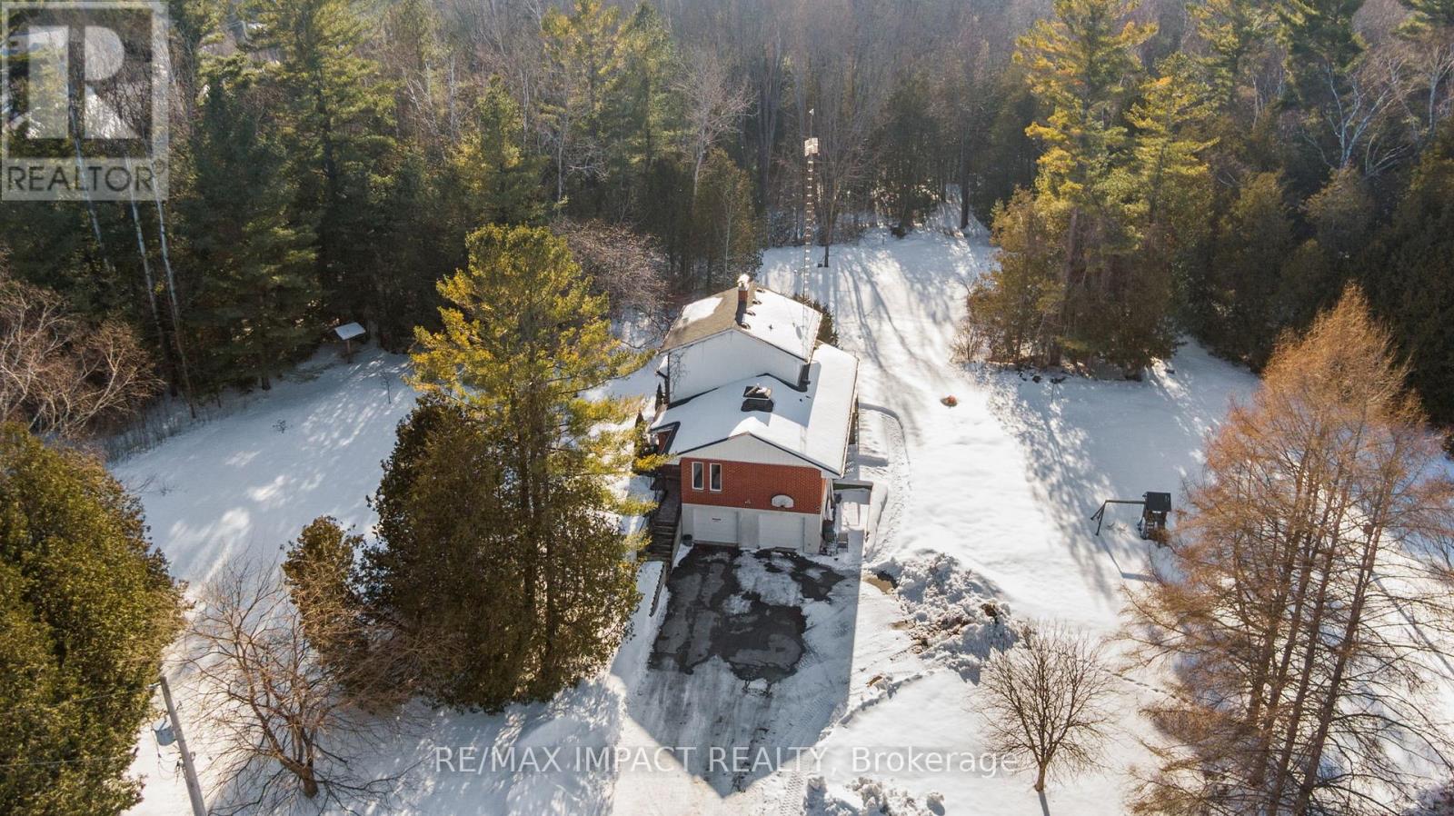 189 Brimley Road S, Alnwick/haldimand, Ontario  K0K 2G0 - Photo 6 - X12860752