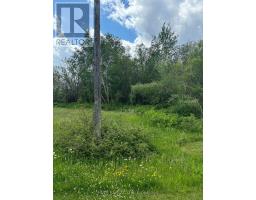 L0T 94-95 NELSON STREET, Englehart, Ontario