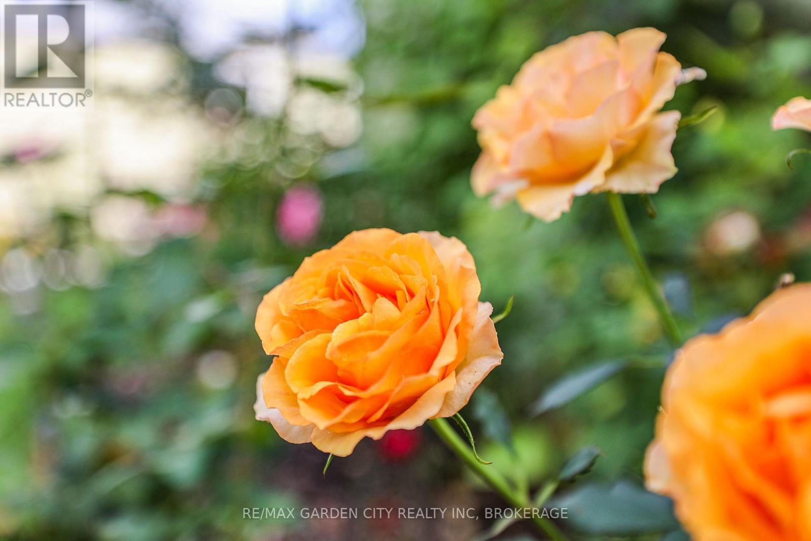 3663 East Main Street, Fort Erie, Ontario  L0S 1S0 - Photo 33 - X12860498