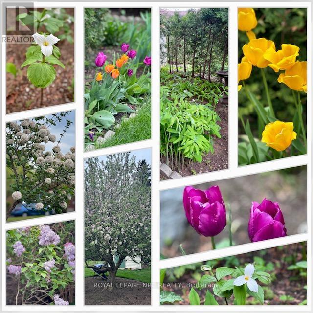 4542 Nancy Drive, Niagara Falls, Ontario  L2E 5L3 - Photo 33 - X12860638