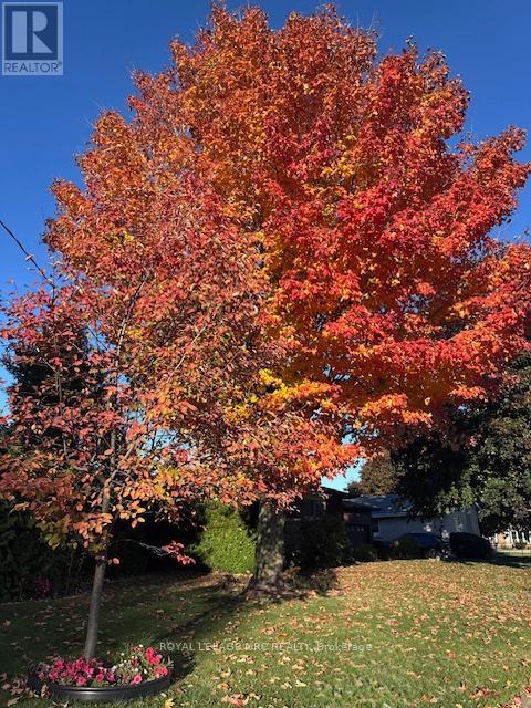 4542 Nancy Drive, Niagara Falls, Ontario  L2E 5L3 - Photo 37 - X12860638