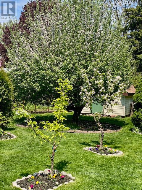 4542 Nancy Drive, Niagara Falls, Ontario  L2E 5L3 - Photo 39 - X12860638