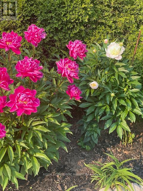 4542 Nancy Drive, Niagara Falls, Ontario  L2E 5L3 - Photo 40 - X12860638