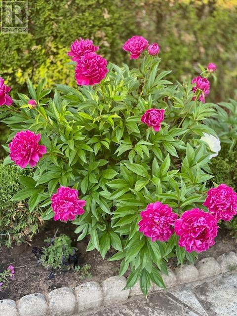 4542 Nancy Drive, Niagara Falls, Ontario  L2E 5L3 - Photo 41 - X12860638