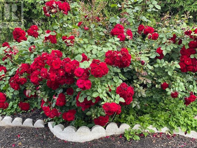 4542 Nancy Drive, Niagara Falls, Ontario  L2E 5L3 - Photo 42 - X12860638