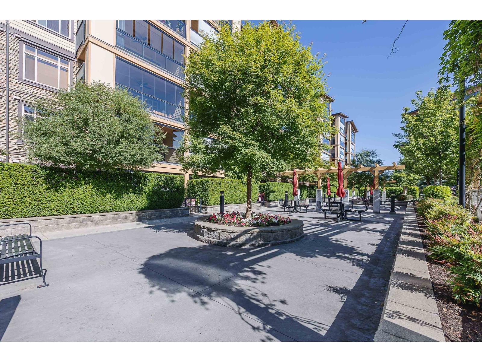 114 2860 Trethewey Street, Abbotsford, British Columbia  V2T 0G5 - Photo 37 - R3096768