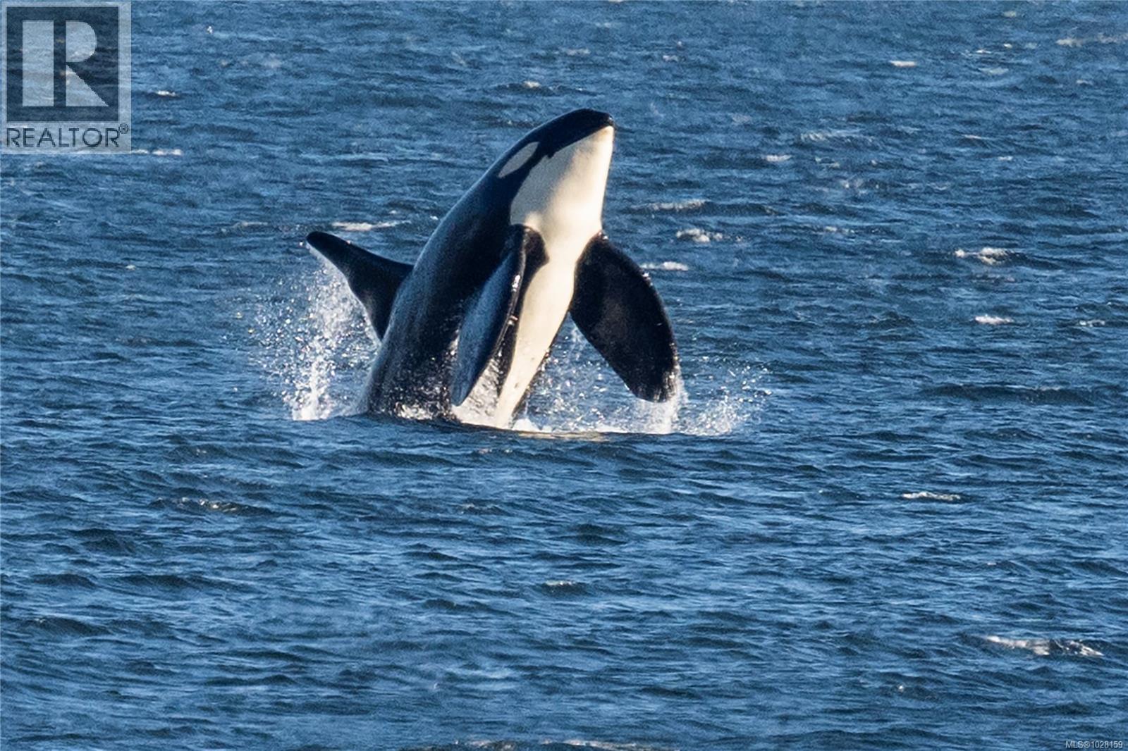 225 Sea Meadow Dr, Gabriola Island, British Columbia  V0R 1X2 - Photo 6 - 1028159