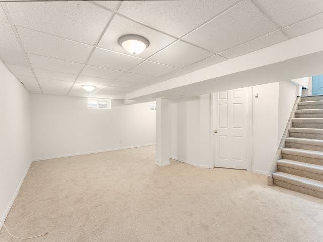 135 Hartford Avenue, Winnipeg, Manitoba  R2V 0V6 - Photo 33 - 202603875