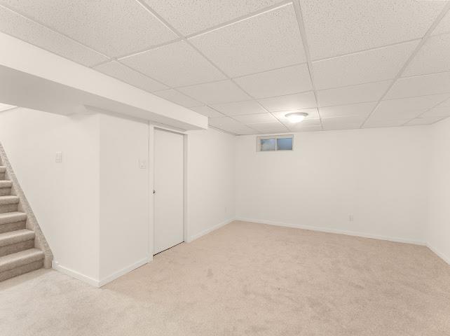 135 Hartford Avenue, Winnipeg, Manitoba  R2V 0V6 - Photo 34 - 202603875