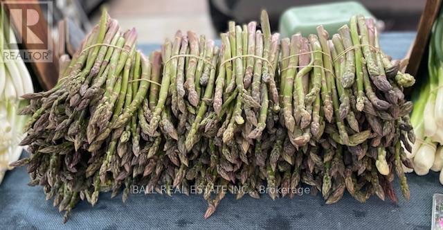 239 Concession 11w, Trent Hills, Ontario  K0L 1Y0 - Photo 14 - X12861196