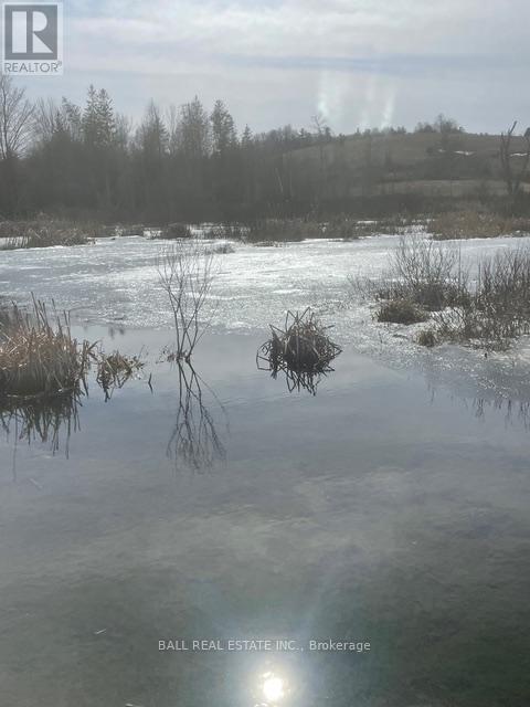 239 Concession 11w, Trent Hills, Ontario  K0L 1Y0 - Photo 21 - X12861196