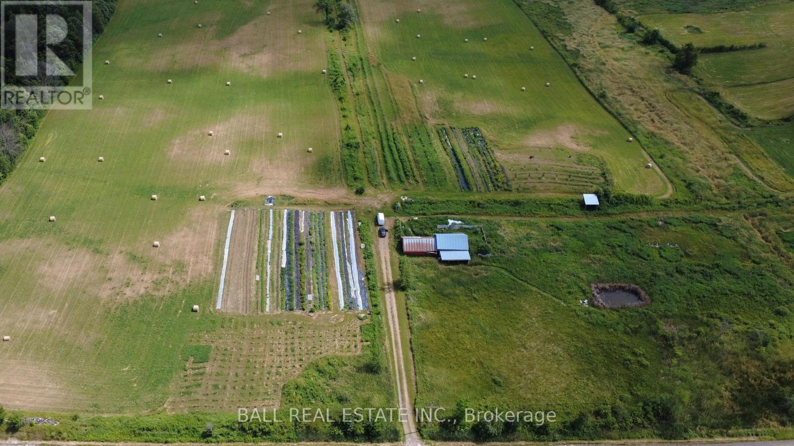 239 Concession 11w, Trent Hills, Ontario  K0L 1Y0 - Photo 3 - X12861196