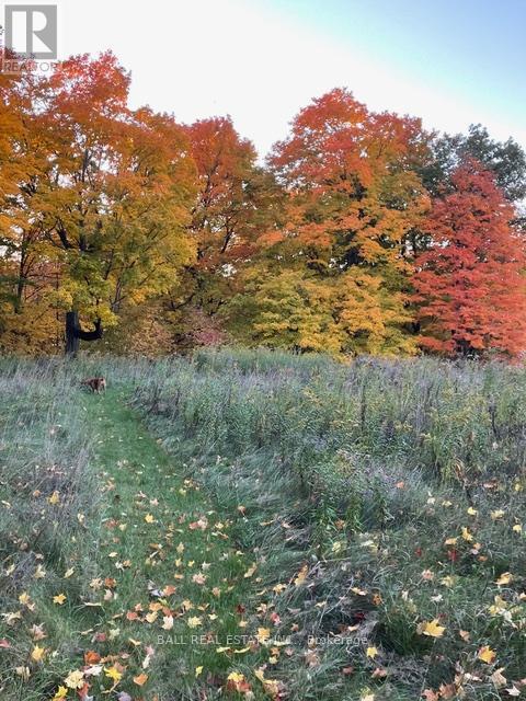 239 Concession 11w, Trent Hills, Ontario  K0L 1Y0 - Photo 37 - X12861196