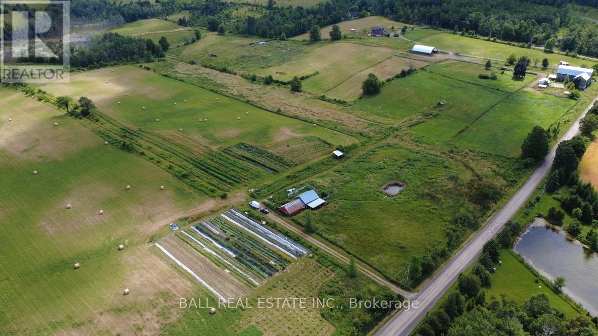 239 Concession 11w, Trent Hills, Ontario  K0L 1Y0 - Photo 5 - X12861196