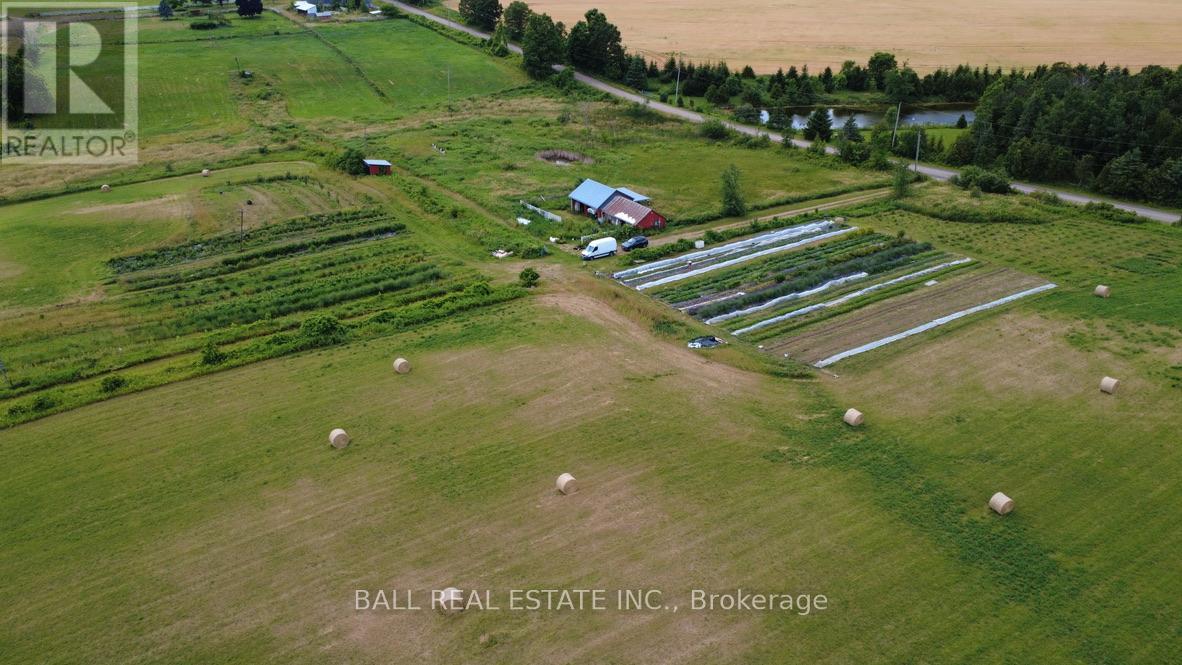 239 Concession 11w, Trent Hills, Ontario  K0L 1Y0 - Photo 7 - X12861196