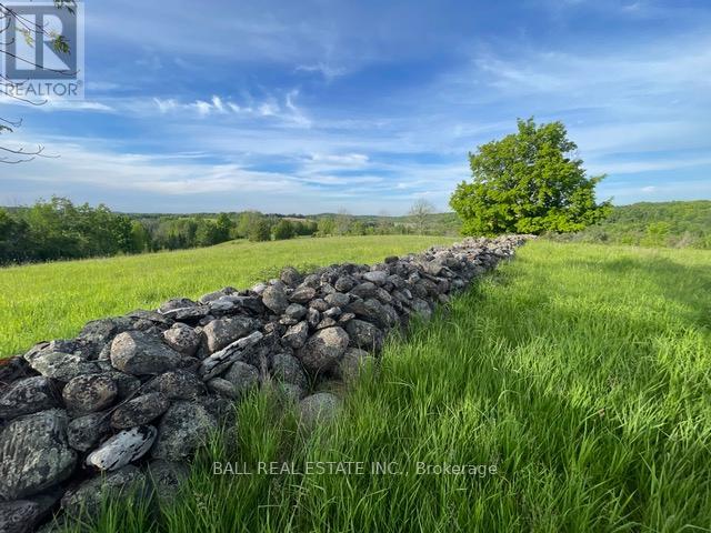 239 Concession 11w, Trent Hills, Ontario  K0L 1Y0 - Photo 8 - X12861196