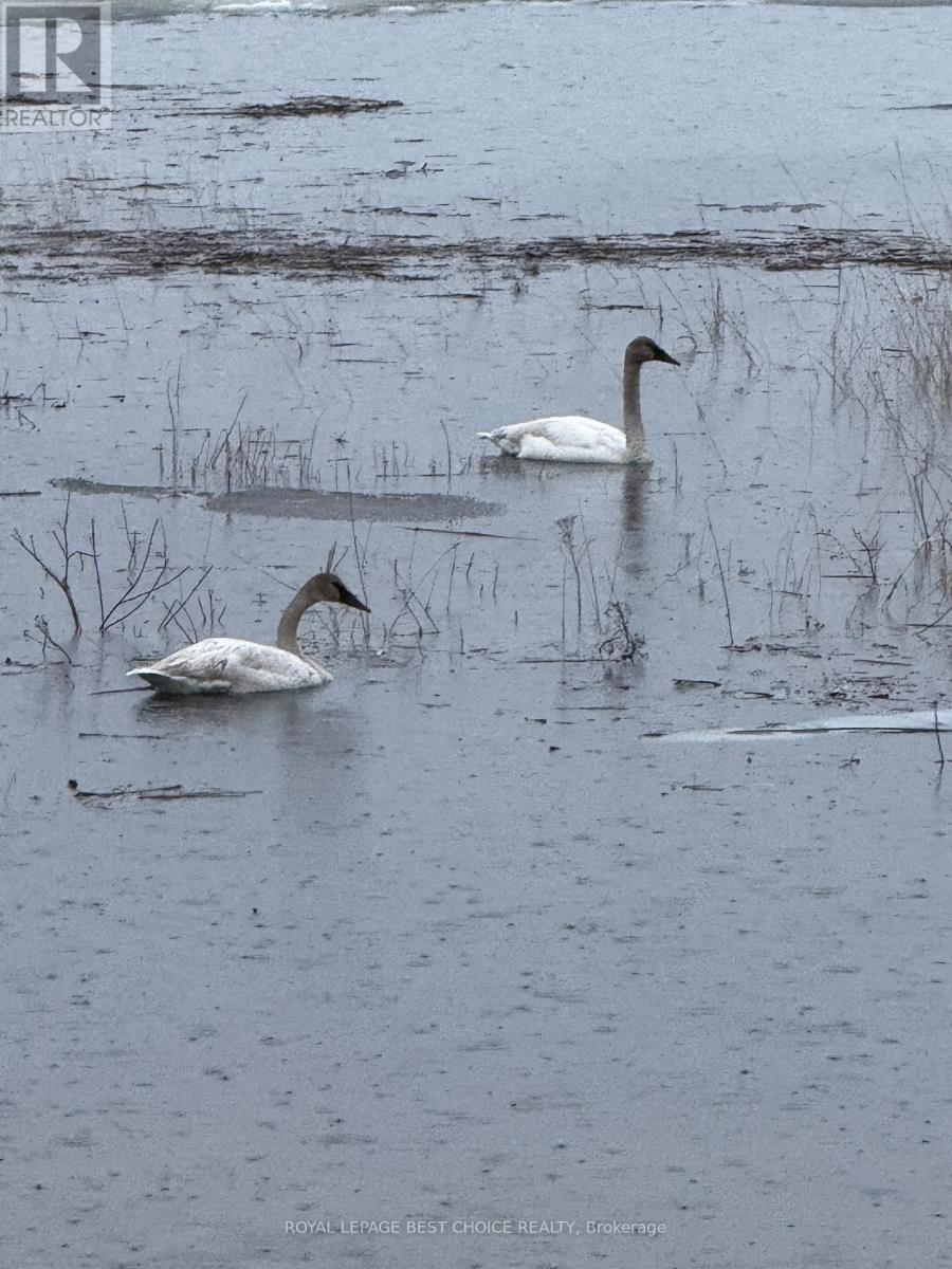 Lt 8 C6 Barber Twp Rd 2 Road, Timiskaming (Tim - Outside - Rural), Ontario  P0J 1G0 - Photo 33 - T12861098