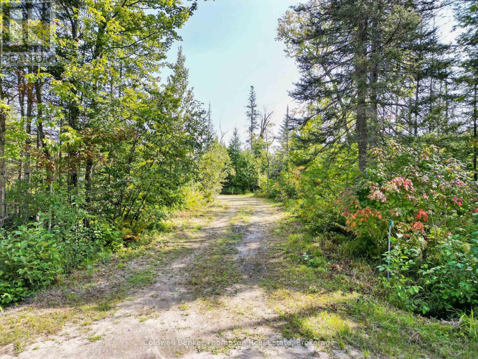 315 Scarlett Road, Machar, Ontario  P0A 1X0 - Photo 12 - X12861234