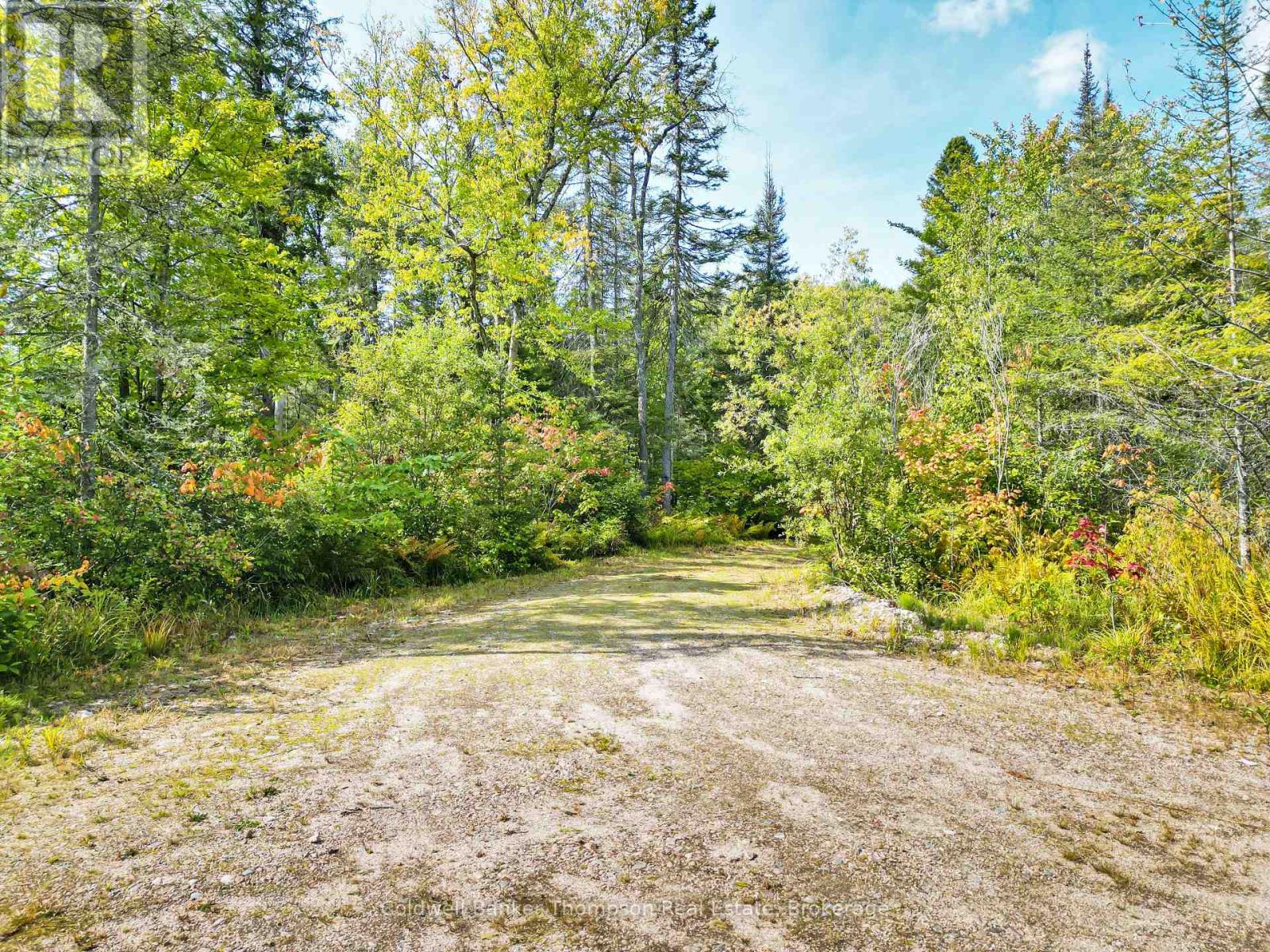 315 Scarlett Road, Machar, Ontario  P0A 1X0 - Photo 13 - X12861234