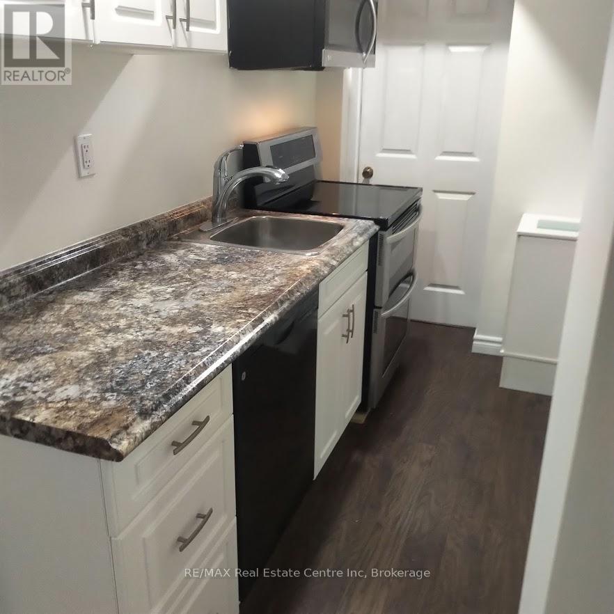 Lower - 19 Hands Drive, Guelph, Ontario  N1G 3E6 - Photo 16 - X12861248