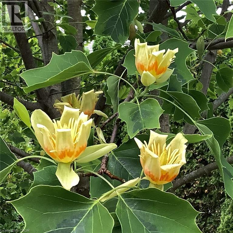 643 King Street, Niagara-On-The-Lake, Ontario  L0S 1J0 - Photo 48 - 40796771