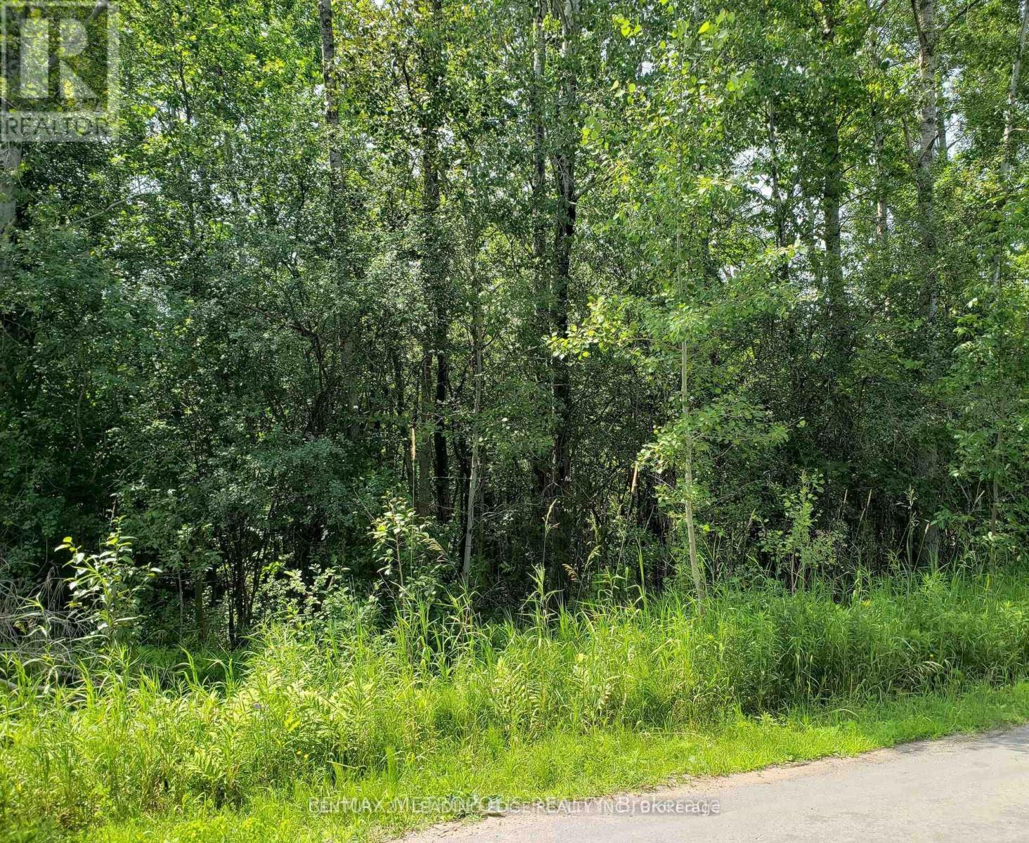 32 Nicholson Drive, Uxbridge, Ontario L9P 1R2 - Photo 2 - N12861014