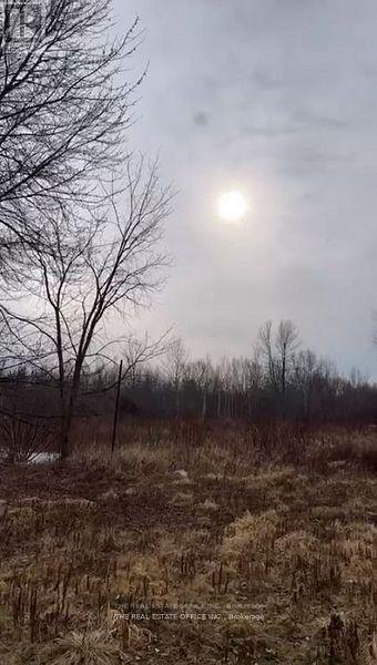 393 Adeline Drive, Georgina, Ontario  L4P 3C4 - Photo 29 - N12861108