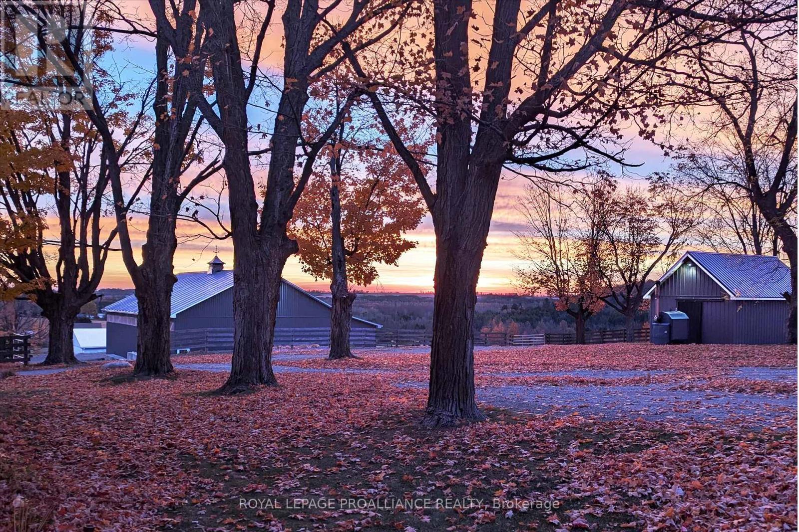 831 Bland Line, Cavan Monaghan, Ontario  L0A 1C0 - Photo 12 - X12861174