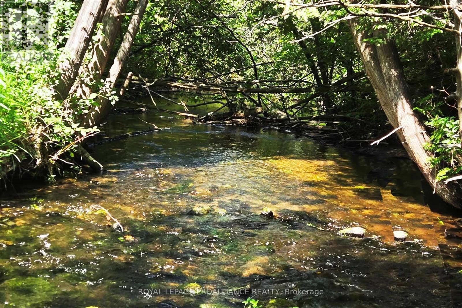 831 Bland Line, Cavan Monaghan, Ontario  L0A 1C0 - Photo 9 - X12861174