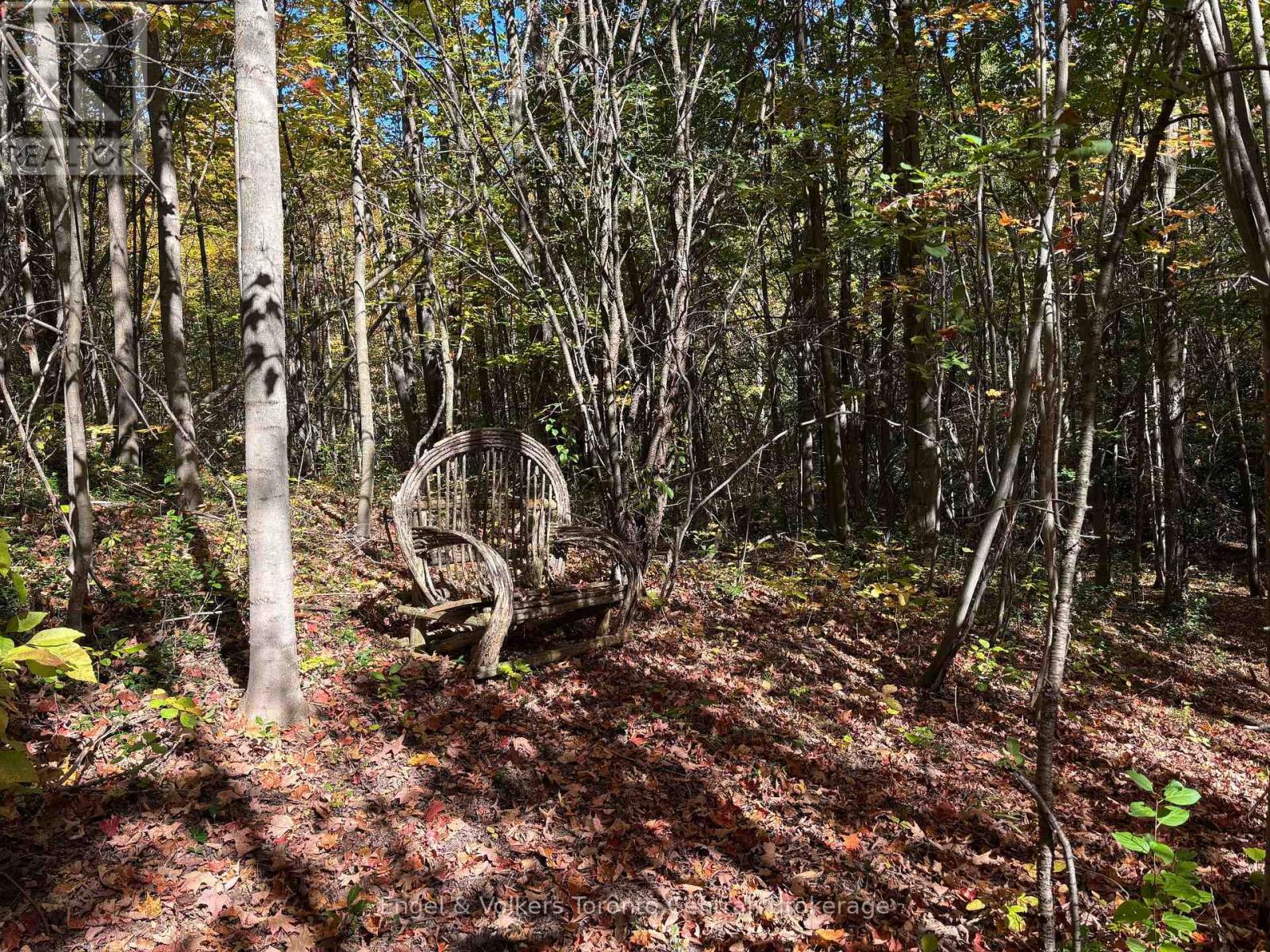317343 3rd Line, Meaford, Ontario  N4L 1W7 - Photo 34 - X12404961