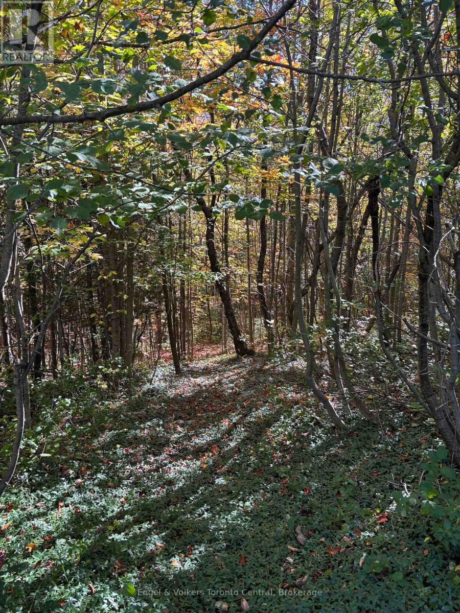 317343 3rd Line, Meaford, Ontario  N4L 1W7 - Photo 35 - X12404961