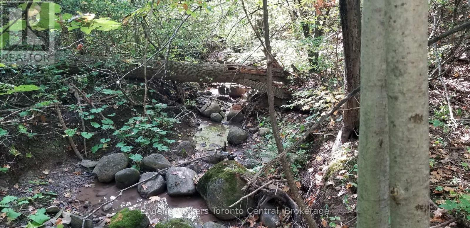 317343 3rd Line, Meaford, Ontario  N4L 1W7 - Photo 38 - X12404961