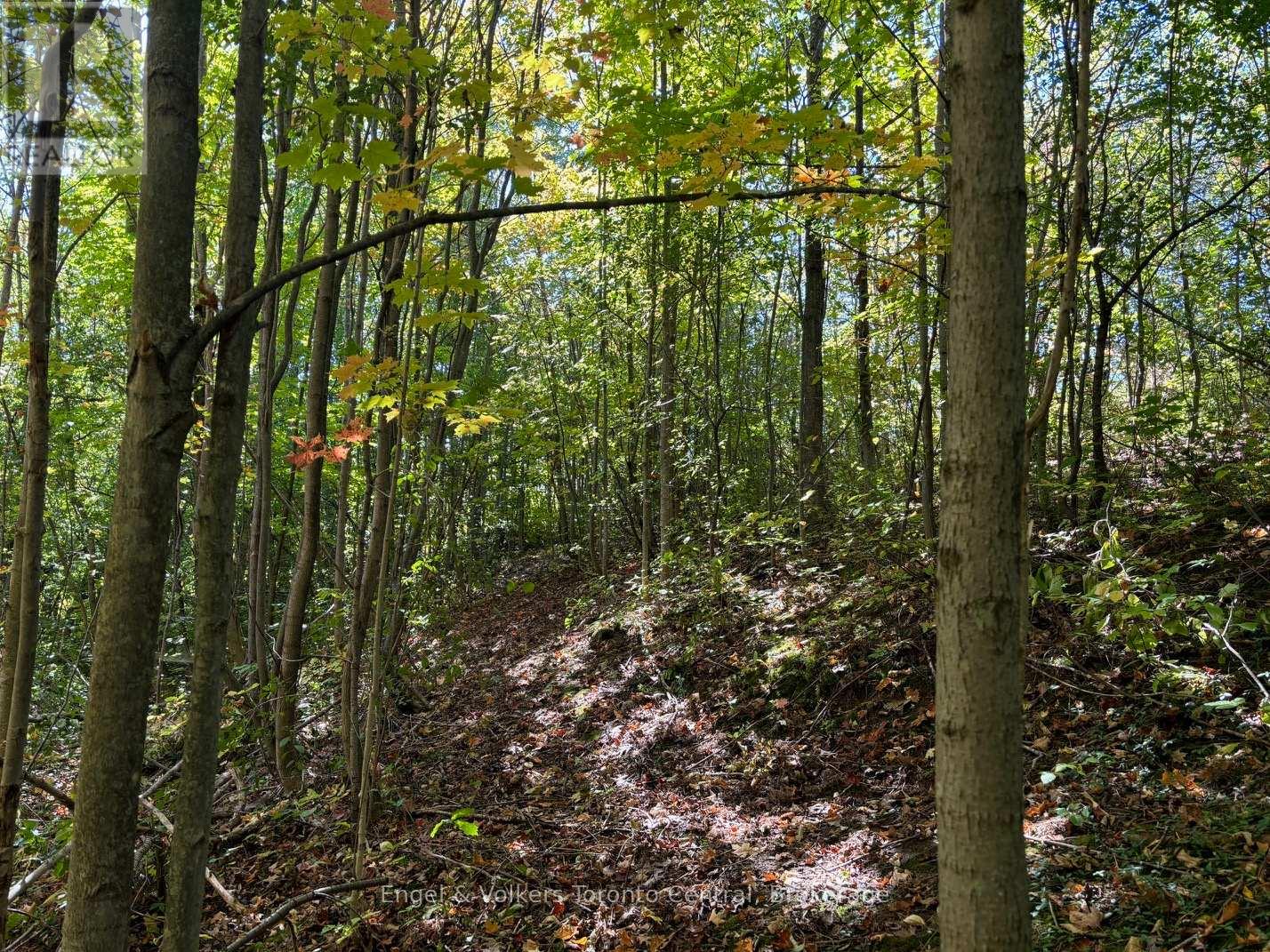317343 3rd Line, Meaford, Ontario  N4L 1W7 - Photo 37 - X12404961
