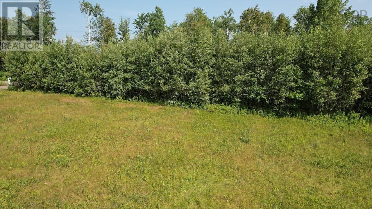 1134 Lake Road, Mattatall Lake, Nova Scotia  B0M 1Z0 - Photo 5 - 202519517