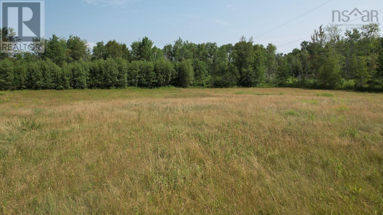 1134 Lake Road, Mattatall Lake, Nova Scotia  B0M 1Z0 - Photo 7 - 202519517