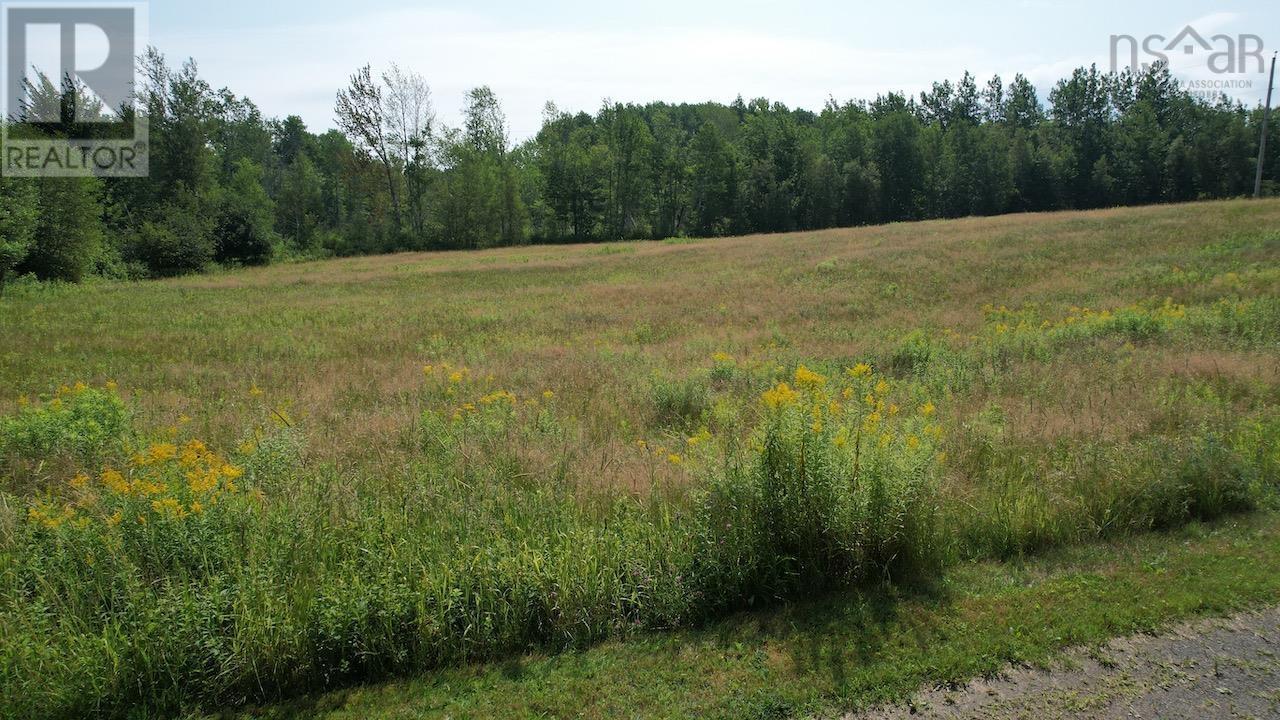 1134 Lake Road, Mattatall Lake, Nova Scotia  B0M 1Z0 - Photo 8 - 202519517