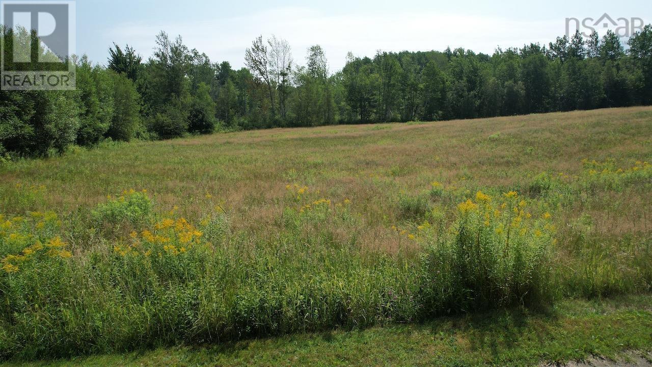 1134 Lake Road, Mattatall Lake, Nova Scotia  B0M 1Z0 - Photo 9 - 202519517