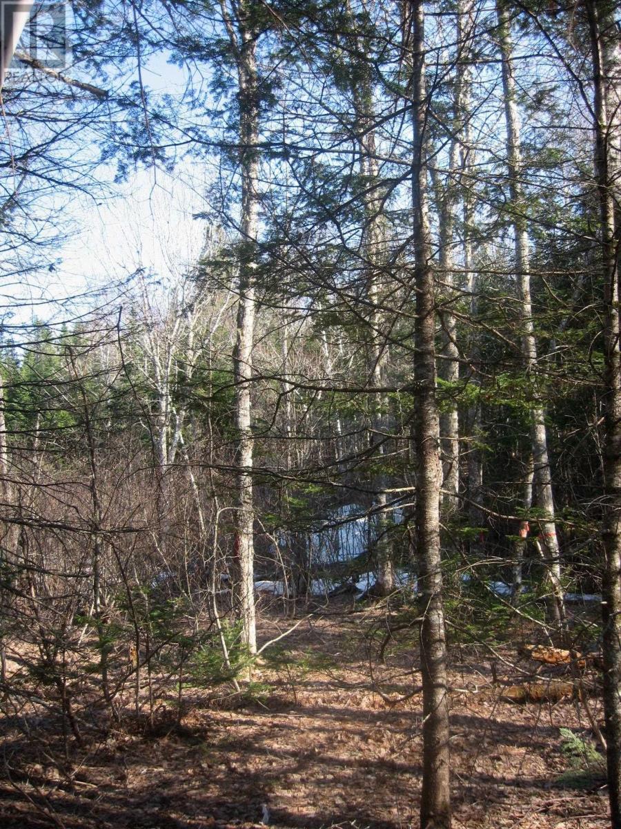 Lot 1 Hunter Road, Wentworth, Nova Scotia  B0M 1Z0 - Photo 5 - 202604133
