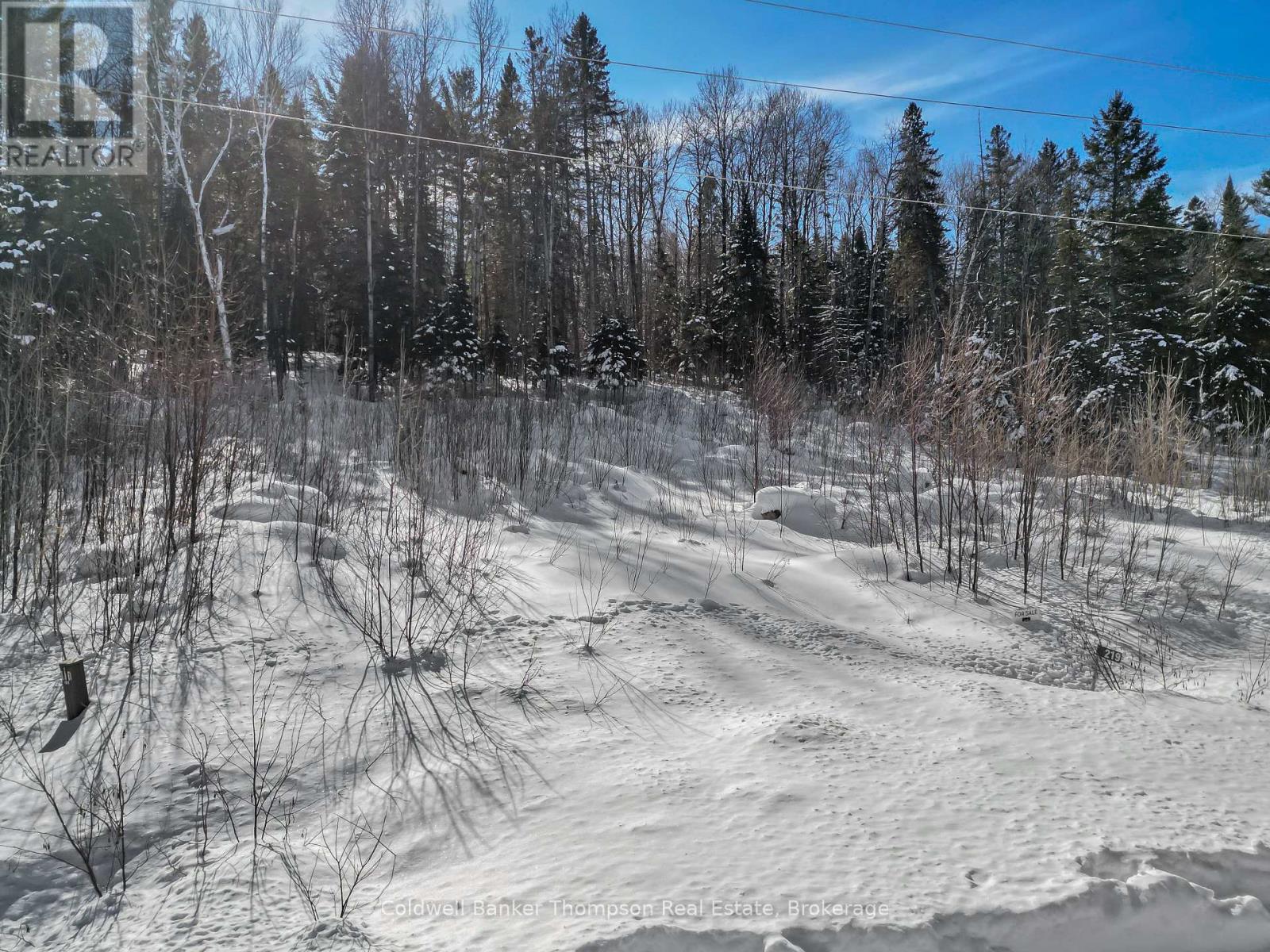 219 Doe Lake Road, Armour, Ontario  P0A 1L0 - Photo 7 - X12861288