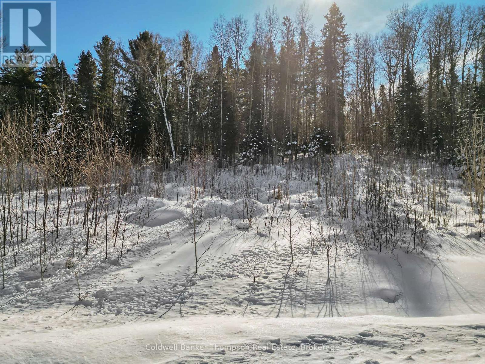 219 Doe Lake Road, Armour, Ontario  P0A 1L0 - Photo 8 - X12861288