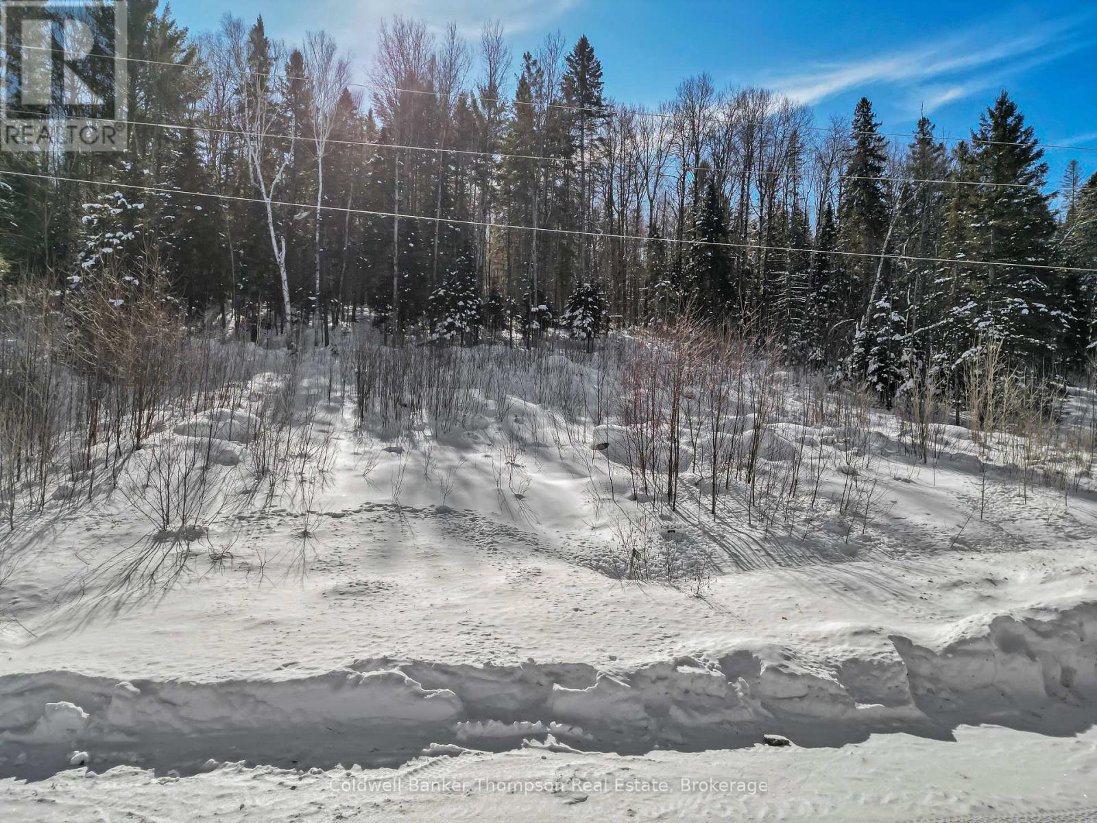 219 Doe Lake Road, Armour, Ontario  P0A 1L0 - Photo 9 - X12861288