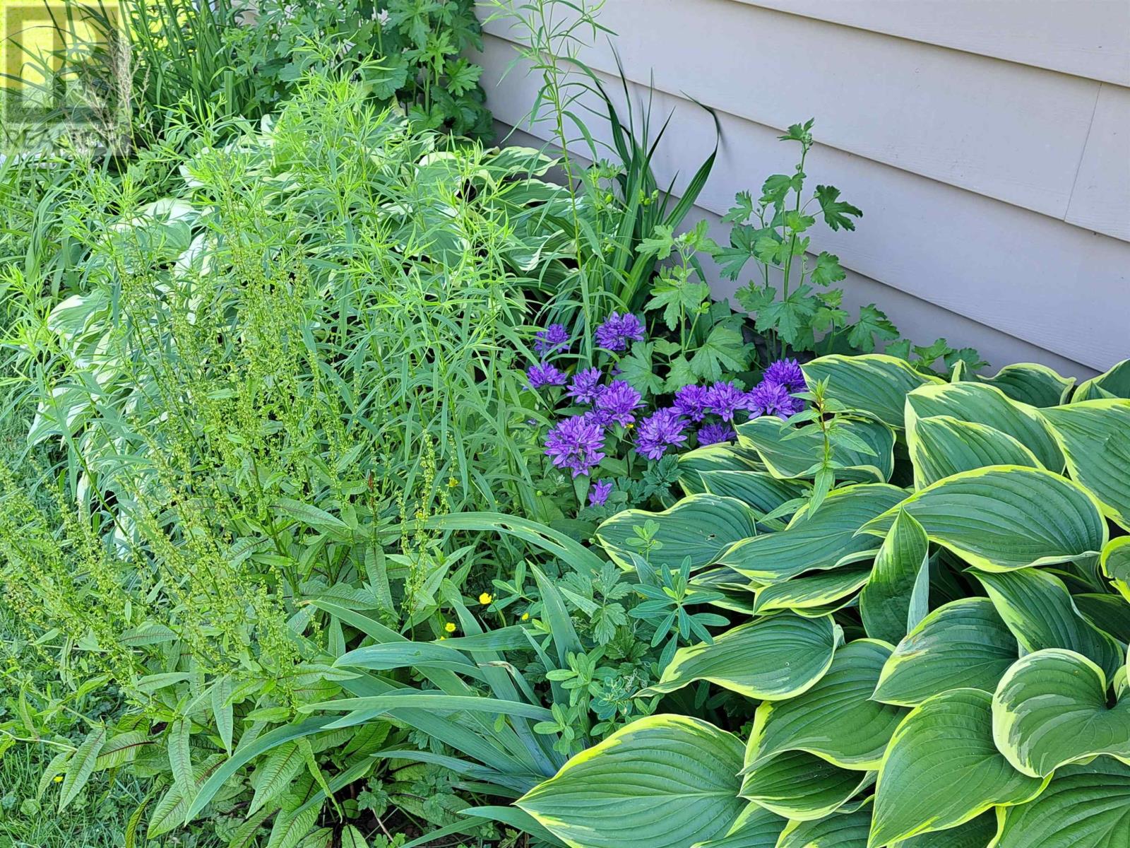 220 Clark Street, Summerside, Prince Edward Island  C1N 2J5 - Photo 5 - 202604139