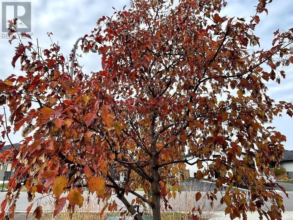 160 Cougar Crs, Thunder Bay, Ontario  P7C 0B8 - Photo 34 - TB2600383