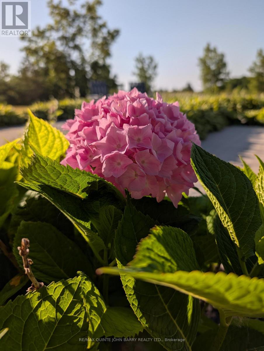 346 Trent Valley Road, Cramahe, Ontario  K0K 1H0 - Photo 43 - X12845178