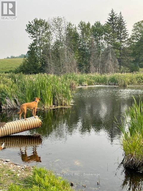 239 Concession 11w, Trent Hills, Ontario  K0L 1Y0 - Photo 21 - X12861196